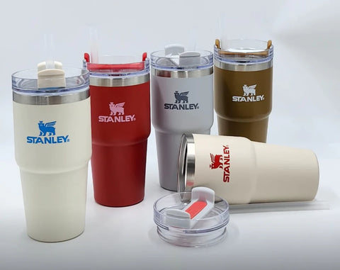 Stanley 600ml Tumbler – Aesthetic, Leak-Proof & Travel-Friendly
