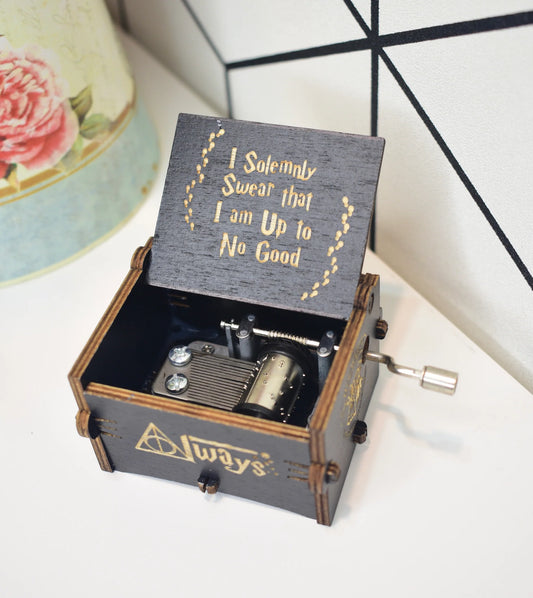 Buy Harry Potter Music Box Regular