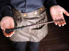 Harry Potter Magic Wand – Wizarding Replica with Gift Box with light