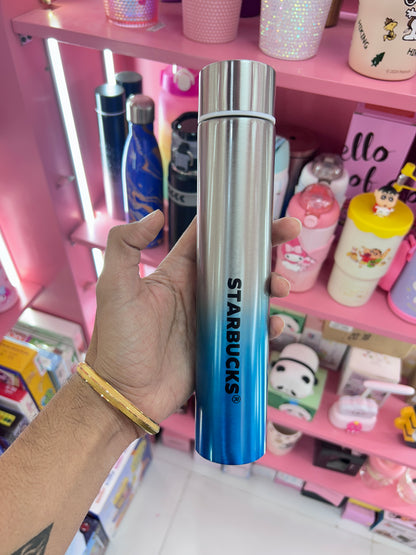 Slim Bottle Steel