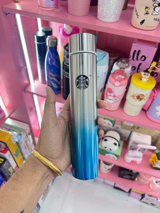Slim Bottle Steel