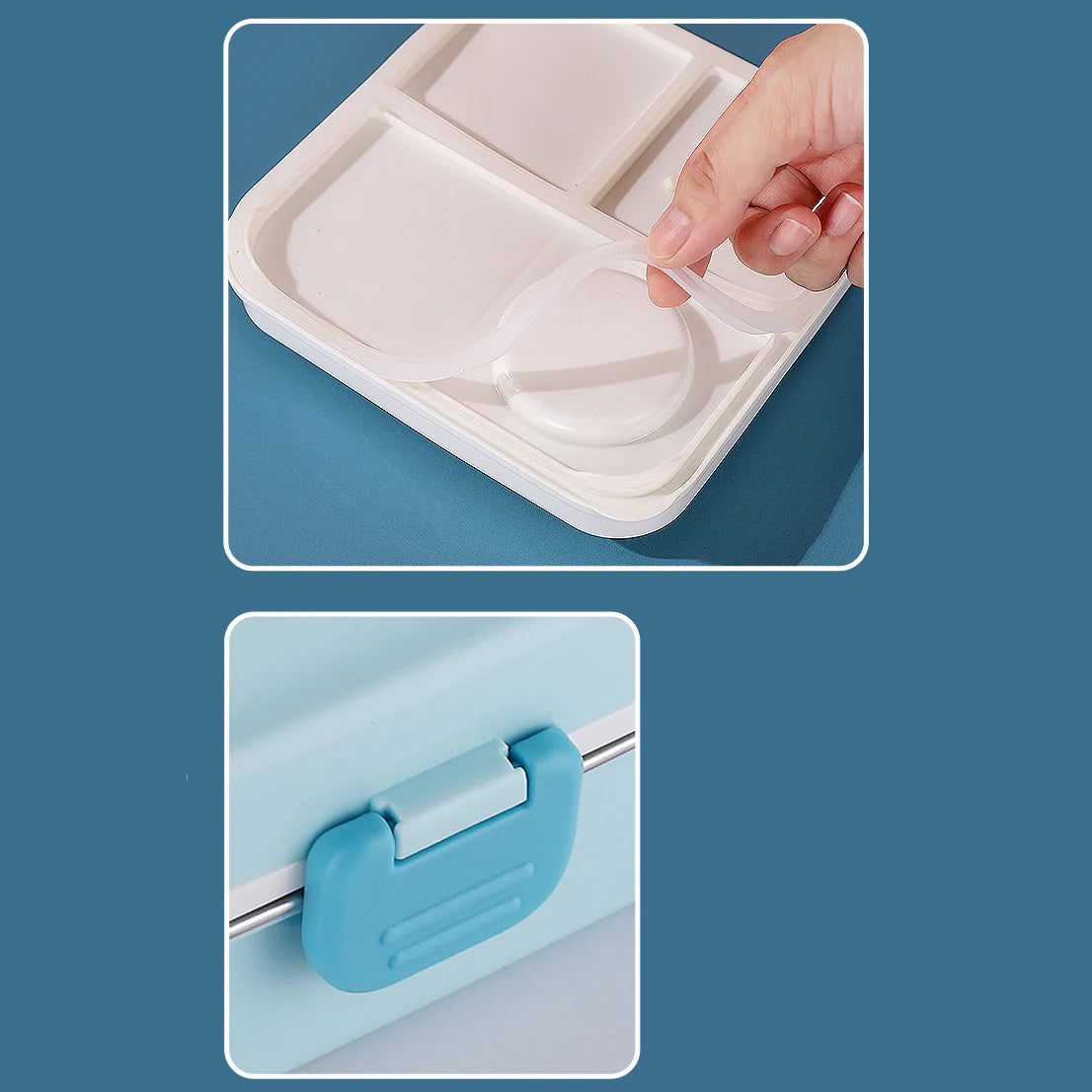 Stainless Steel Lunch Box - Whale