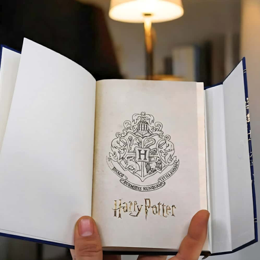HARRY POTTER DIARY