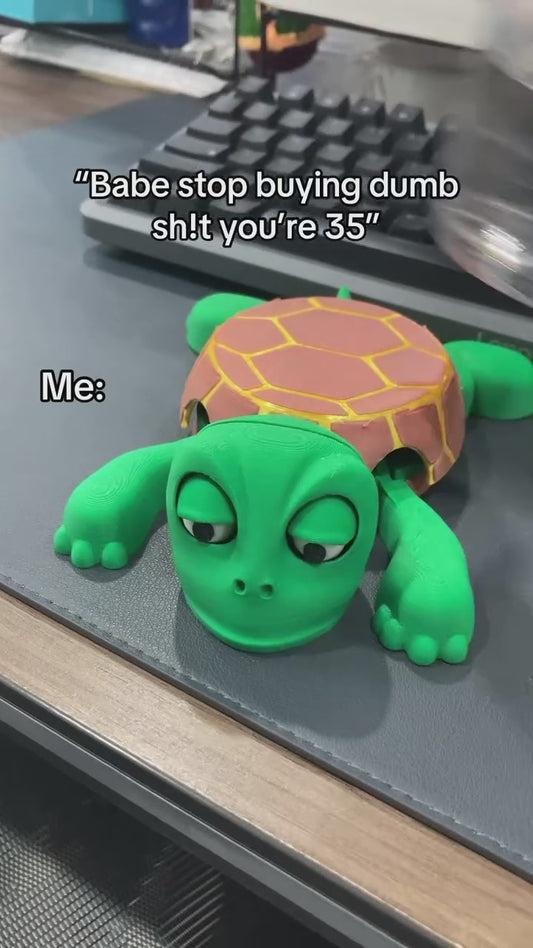 Scary Turtle Coaster – Quirky, Funny & Functional
